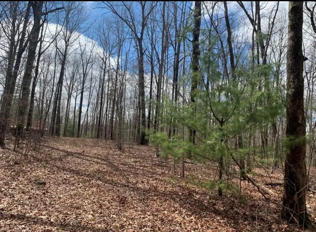 2870 Leatherwood Ford Road Jamestown TN 38556