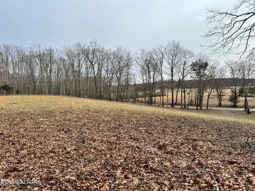 41 Smith Mountain Rockwood TN 37854