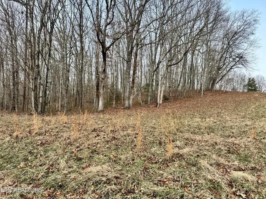 41 Smith Mountain Rockwood TN 37854