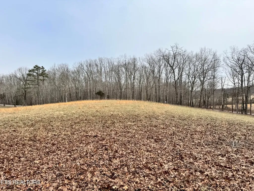 41 Smith Mountain Rockwood TN 37854