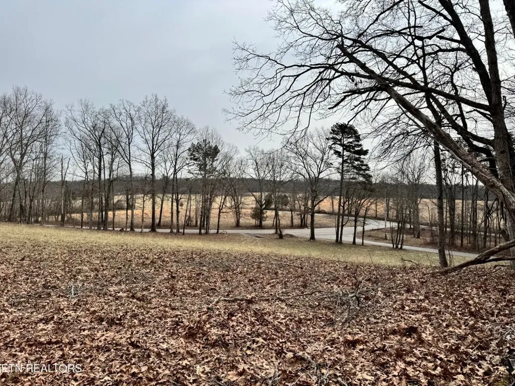 41 Smith Mountain Rockwood TN 37854