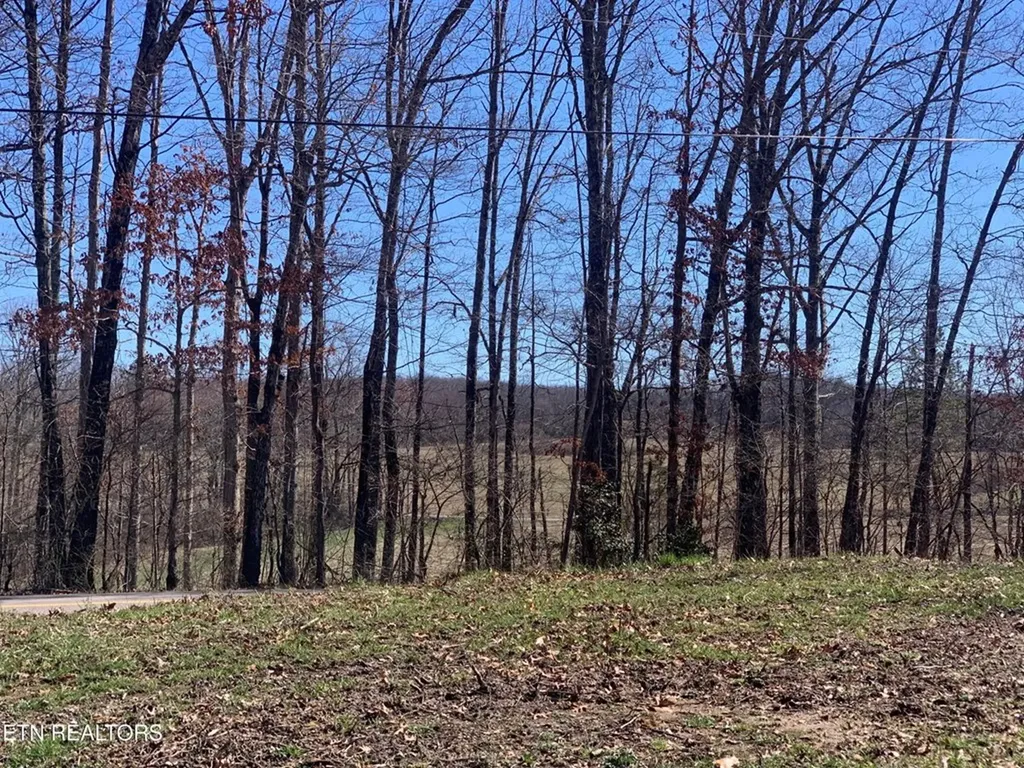 41 Smith Mountain Rockwood TN 37854