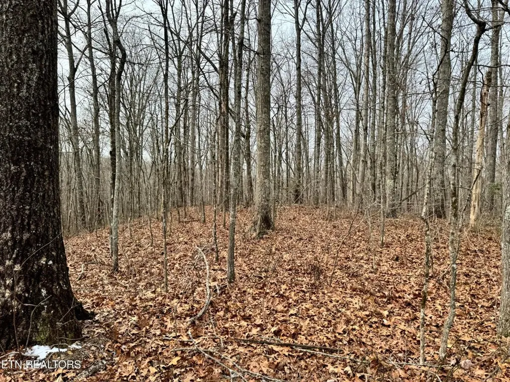 41 Smith Mountain Rockwood TN 37854