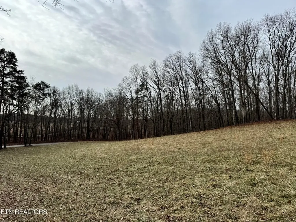 41 Smith Mountain Rockwood TN 37854
