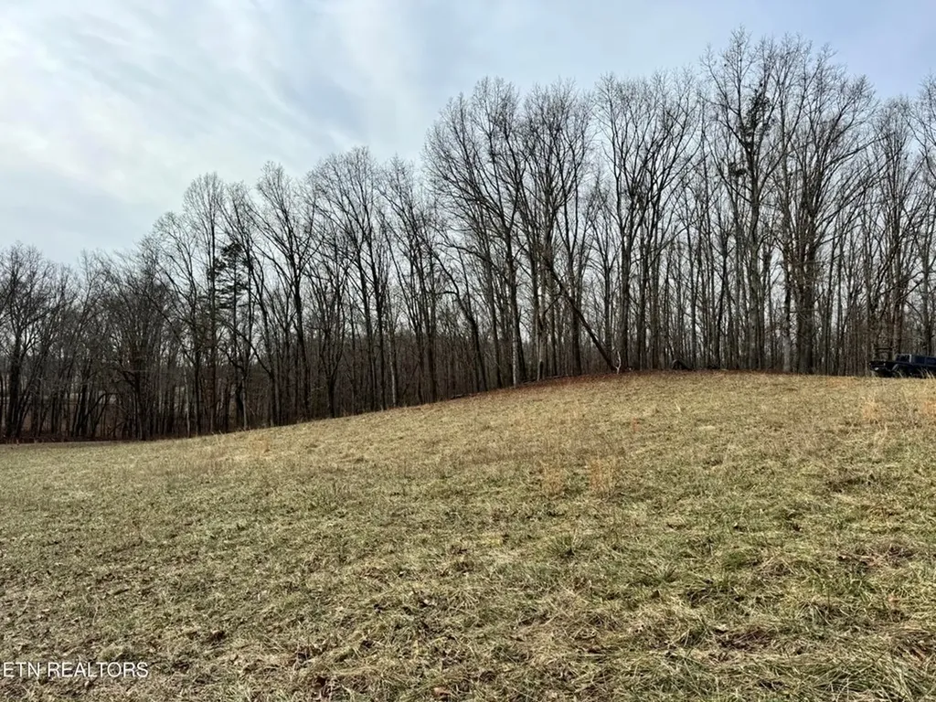 41 Smith Mountain Rockwood TN 37854