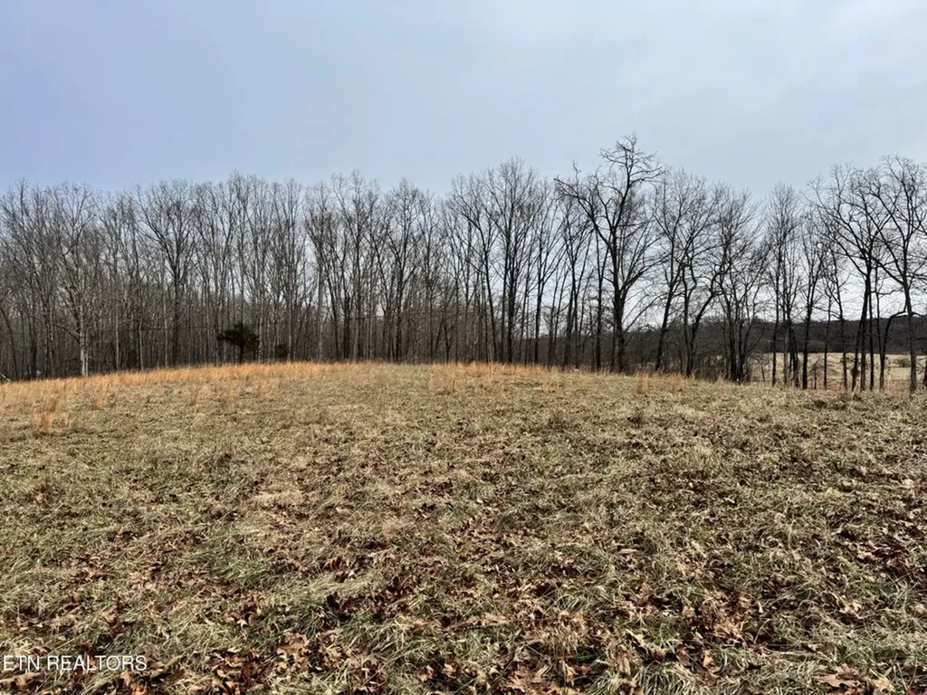 41 Smith Mountain Rockwood TN 37854