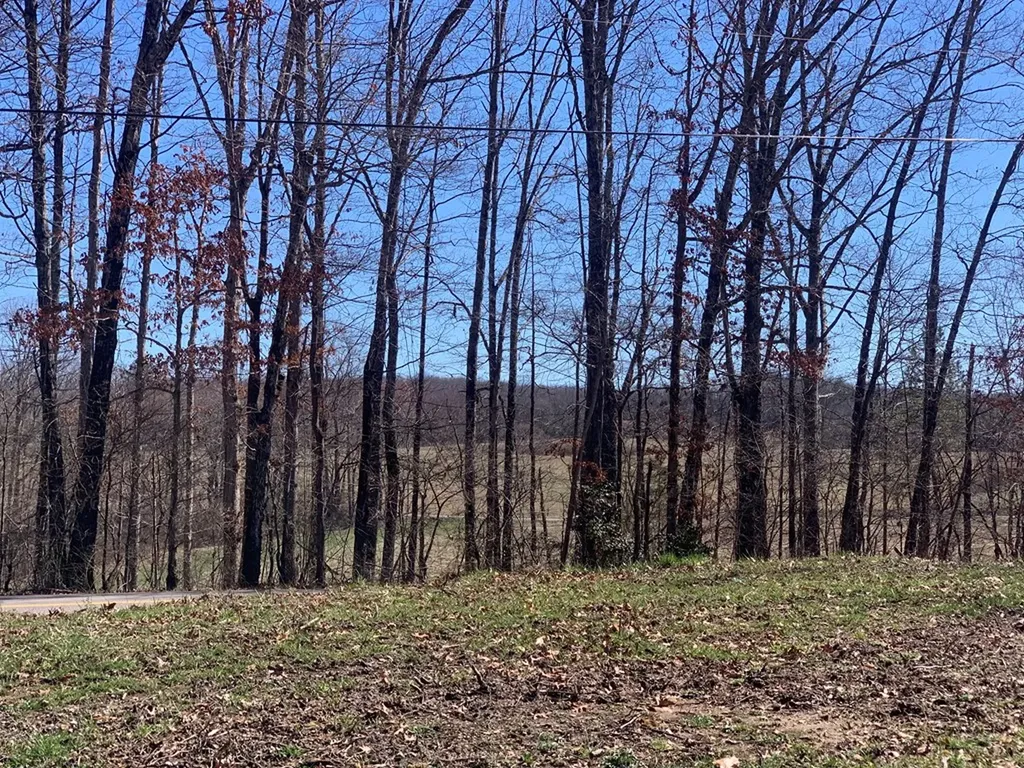 41 Smith Mountain Rockwood TN 37854