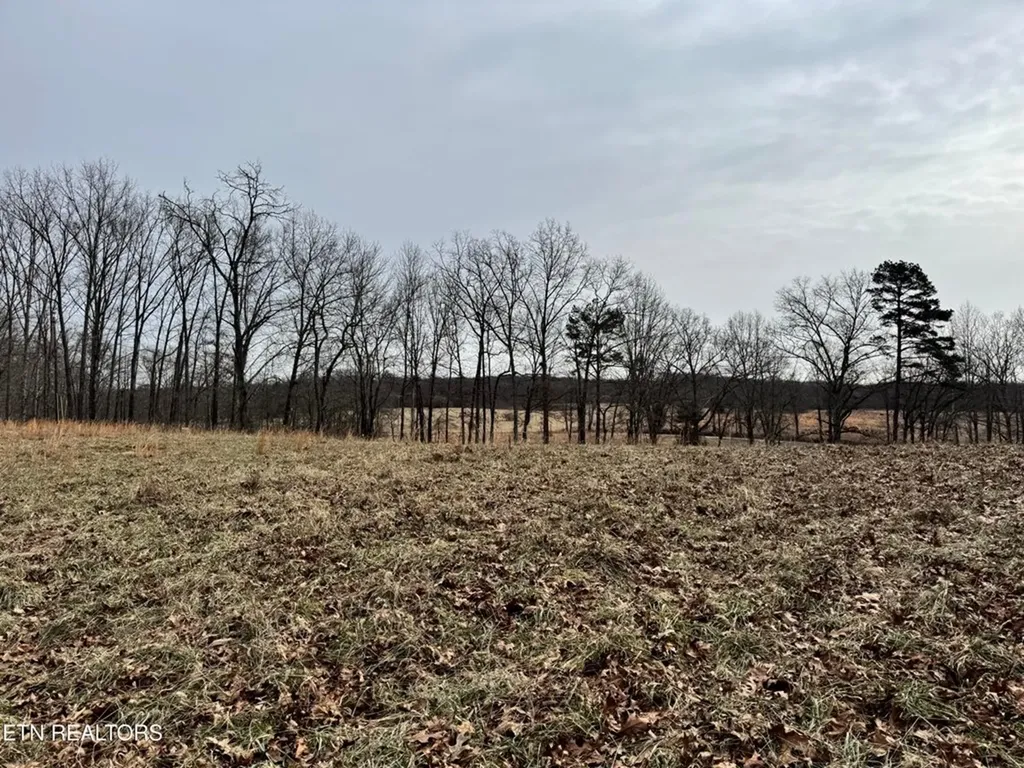 41 Smith Mountain Rockwood TN 37854