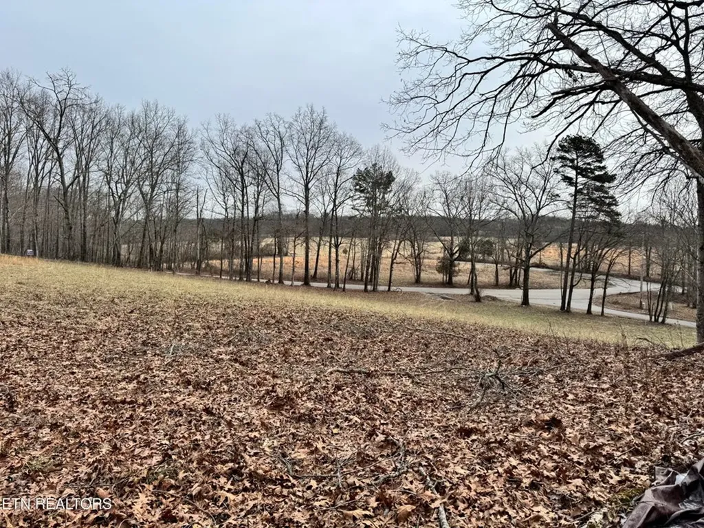 41 Smith Mountain Rockwood TN 37854
