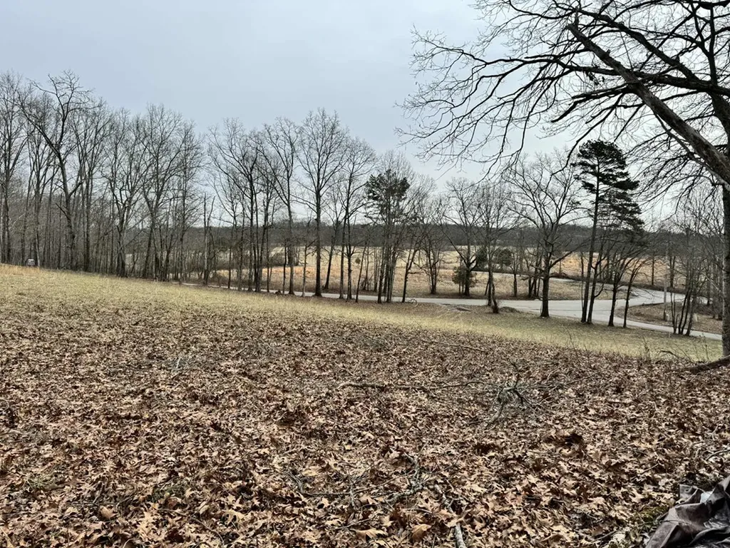 41 Smith Mountain Rockwood TN 37854