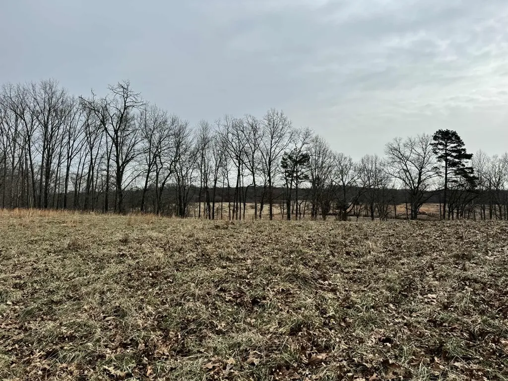 41 Smith Mountain Rockwood TN 37854