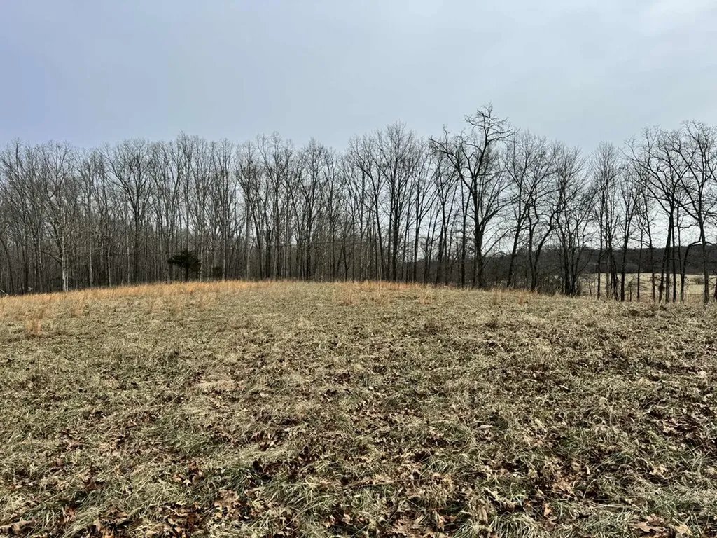 41 Smith Mountain Rockwood TN 37854