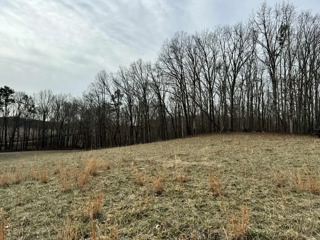 41 Smith Mountain Rockwood TN 37854