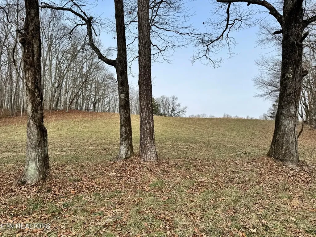 41 Smith Mountain Rockwood TN 37854