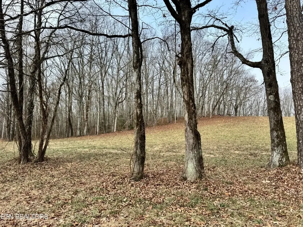 41 Smith Mountain Rockwood TN 37854