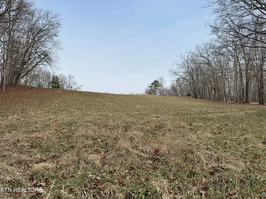41 Smith Mountain Rockwood TN 37854