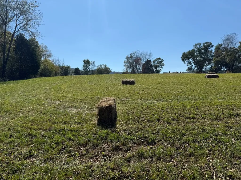 1.8 Ac. Cane Creek Cummingsville Road Sparta TN 38583
