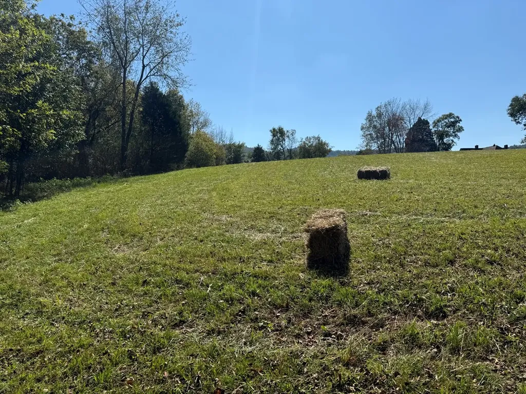 1.8 Ac. Cane Creek Cummingsville Road Sparta TN 38583