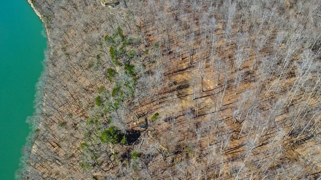 50.31 Ac Robbinstown Road Byrdstown TN 38549