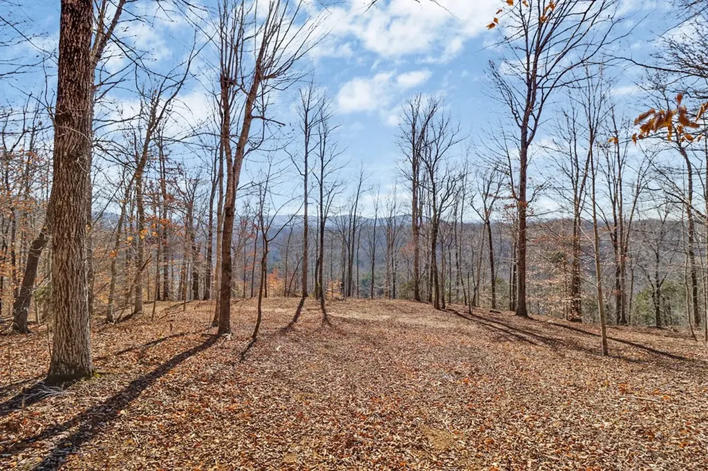 50.31 Ac Robbinstown Road Byrdstown TN 38549