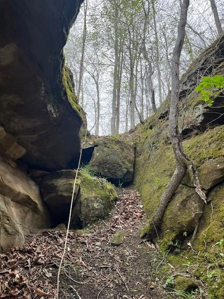 50.31 Ac Robbinstown Road Byrdstown TN 38549