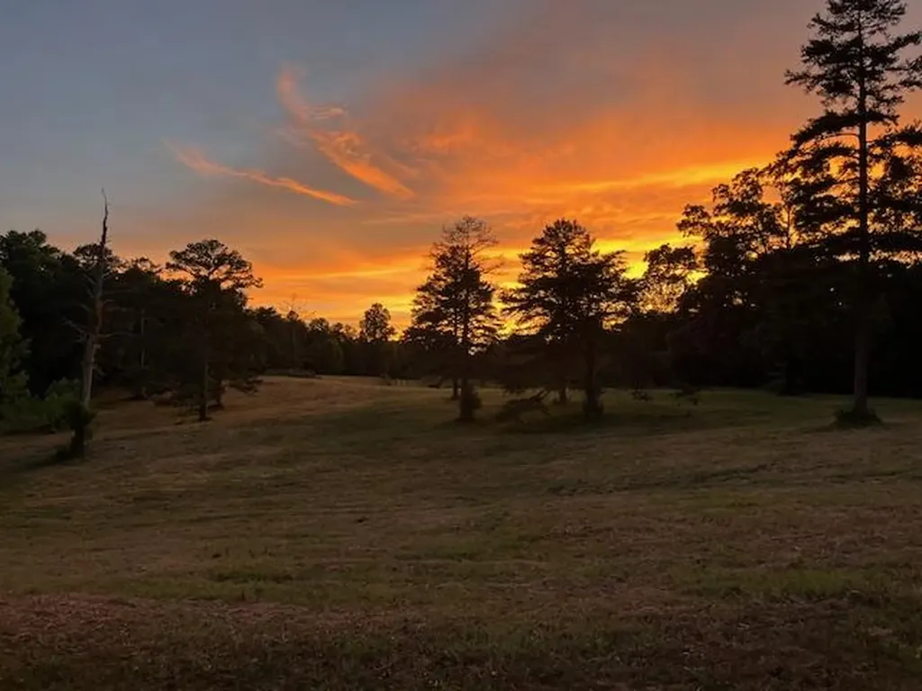 50.31 Ac Robbinstown Road Byrdstown TN 38549