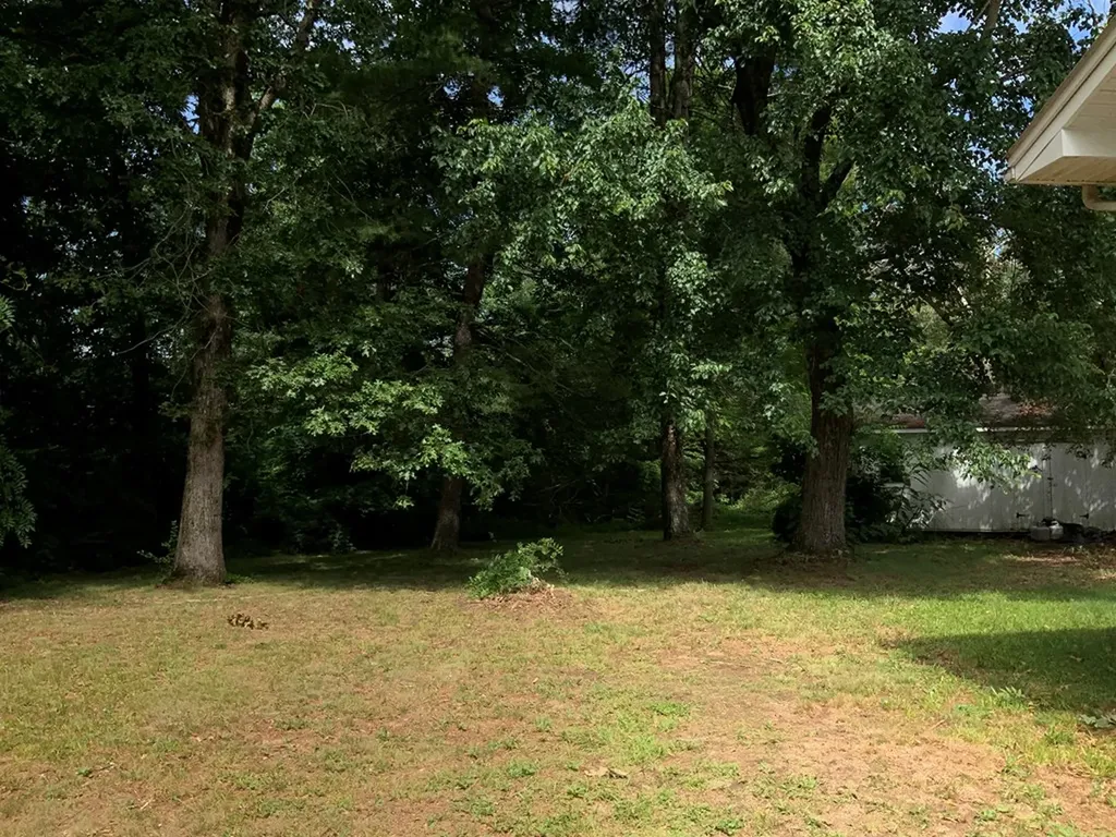 6604 S. York Highway Clarkrange TN 38556