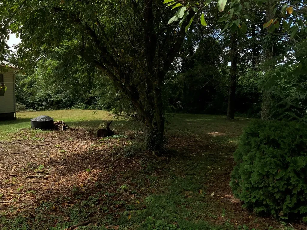 6604 S. York Highway Clarkrange TN 38556