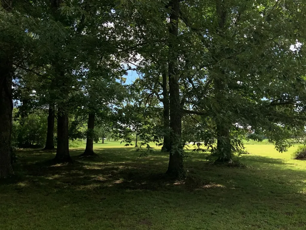 6604 S. York Highway Clarkrange TN 38556