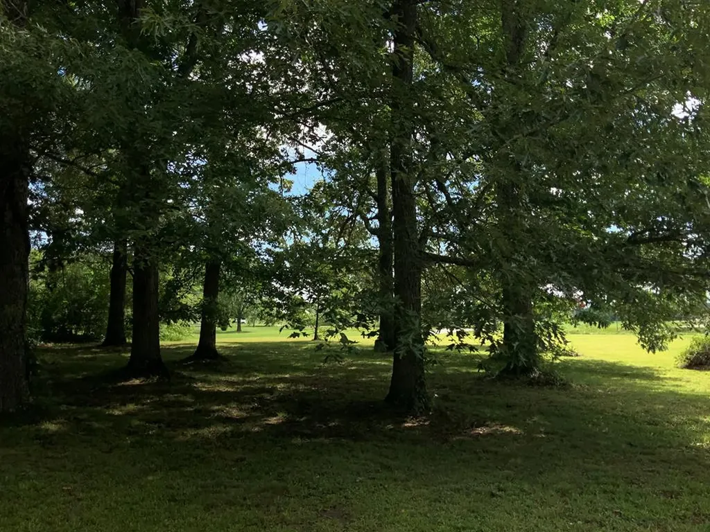 6604 S. York Highway Clarkrange TN 38556