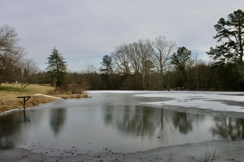 6111 Nashville Highway Deer Lodge TN 37726