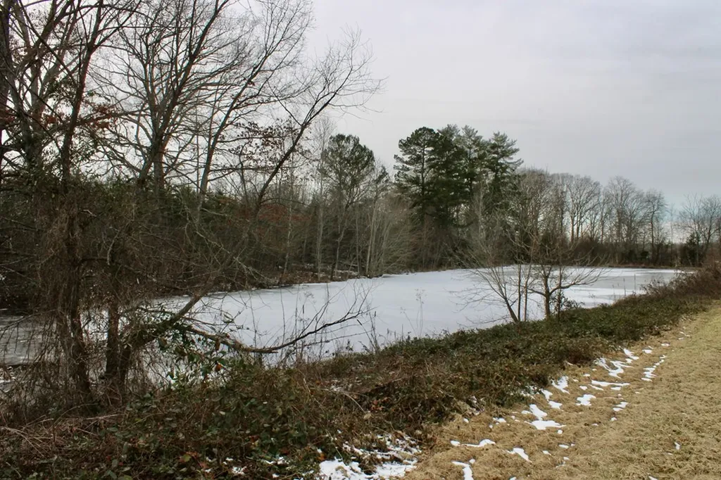 6111 Nashville Highway Deer Lodge TN 37726