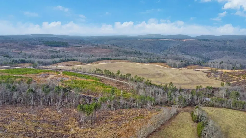 0 Possum Trot Road - Tract 8 Grandview TN 37337