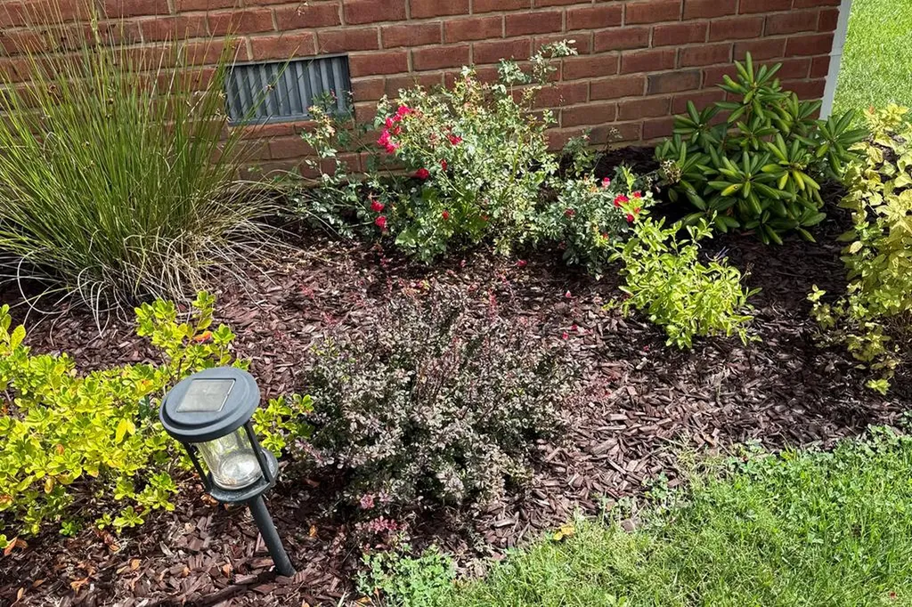 107 Eighteen Grand Place Cookeville TN 38506