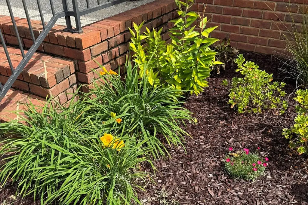 107 Eighteen Grand Place Cookeville TN 38506