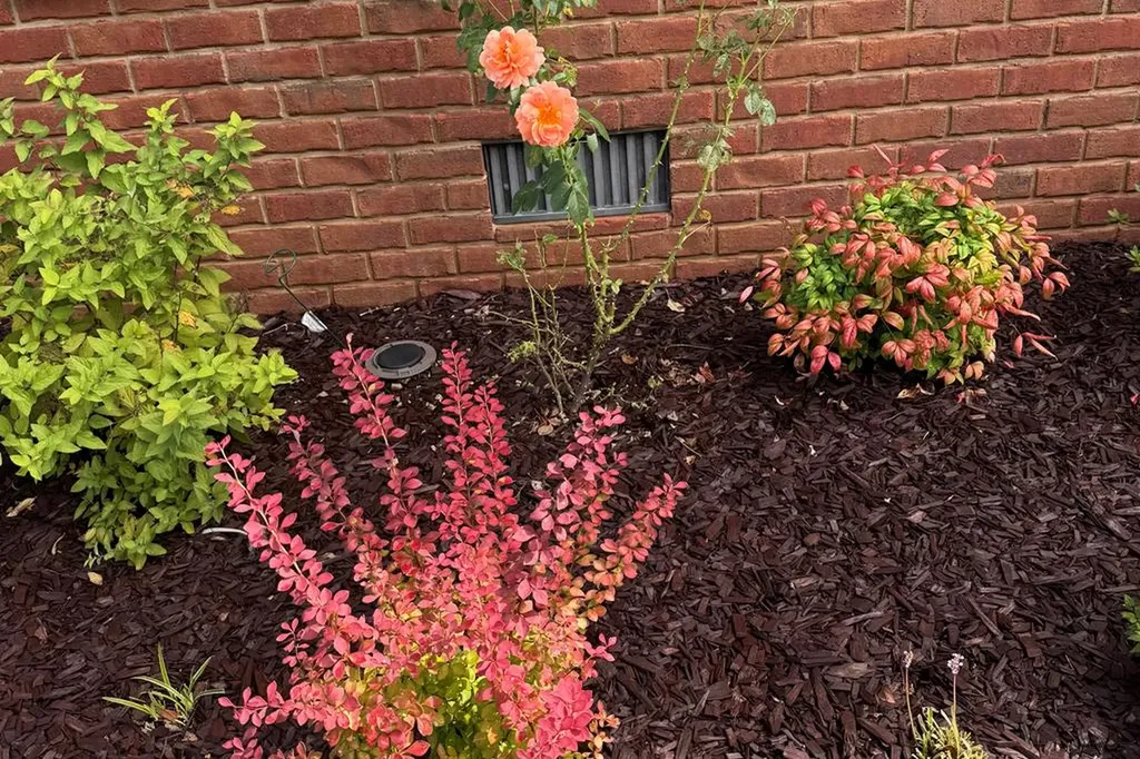 107 Eighteen Grand Place Cookeville TN 38506