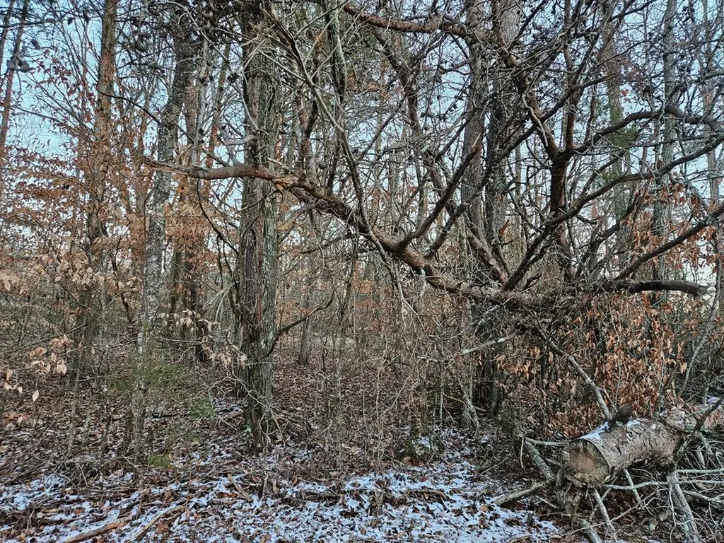 00 Pollard Cemetery Road Walling TN 38587