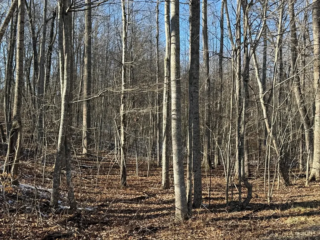 363 Valley Loop Crossville TN 38572