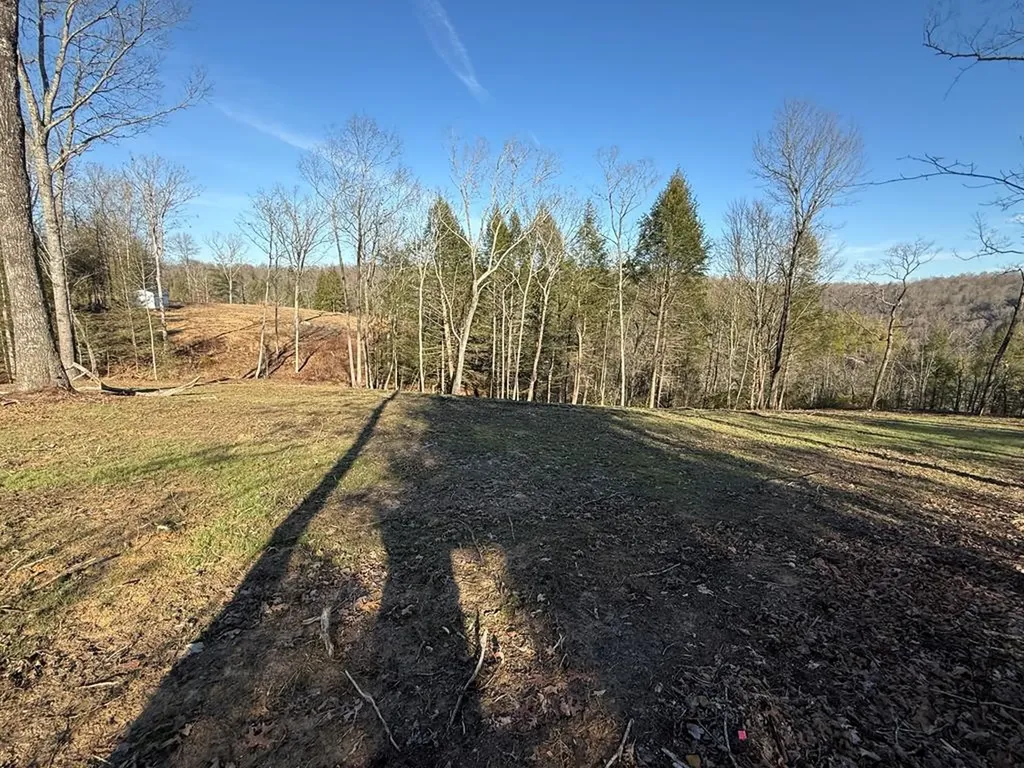 20 Bluff View Loop Allardt TN 38504