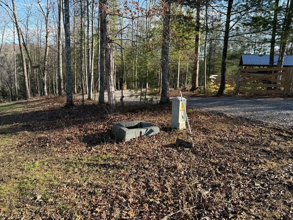 20 Bluff View Loop Allardt TN 38504