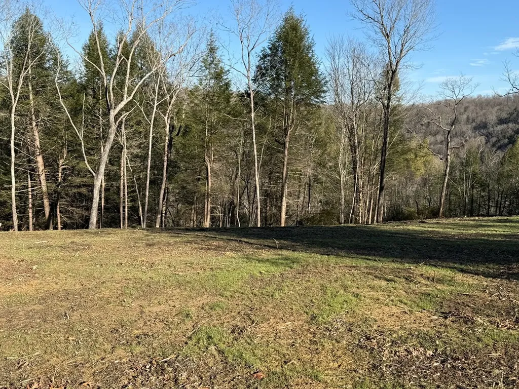 20 Bluff View Loop Allardt TN 38504