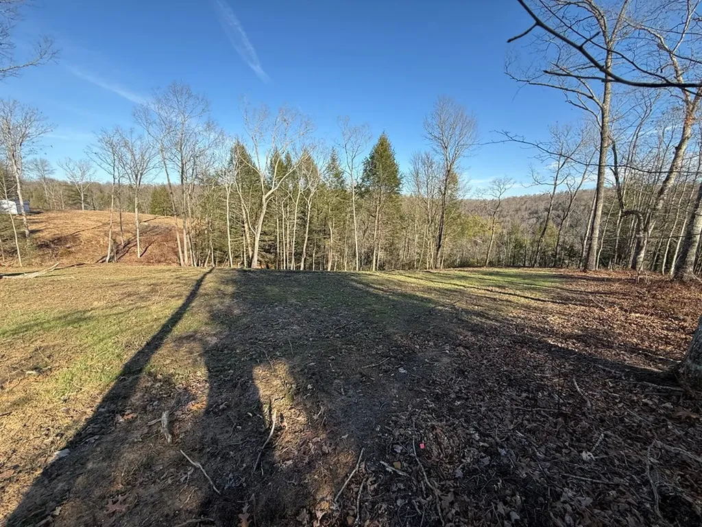 20 Bluff View Loop Allardt TN 38504