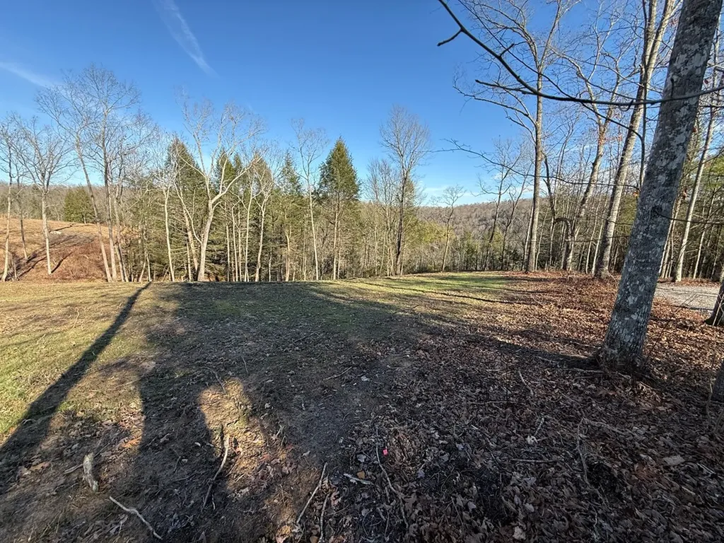 20 Bluff View Loop Allardt TN 38504