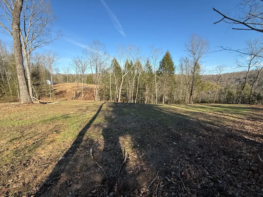 20 Bluff View Loop Allardt TN 38504
