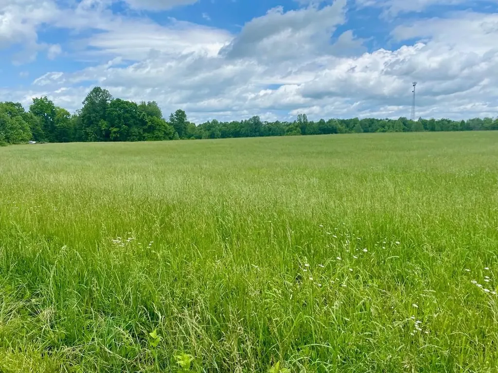 0 Old Martha Washington Road Clarkrange TN 38553