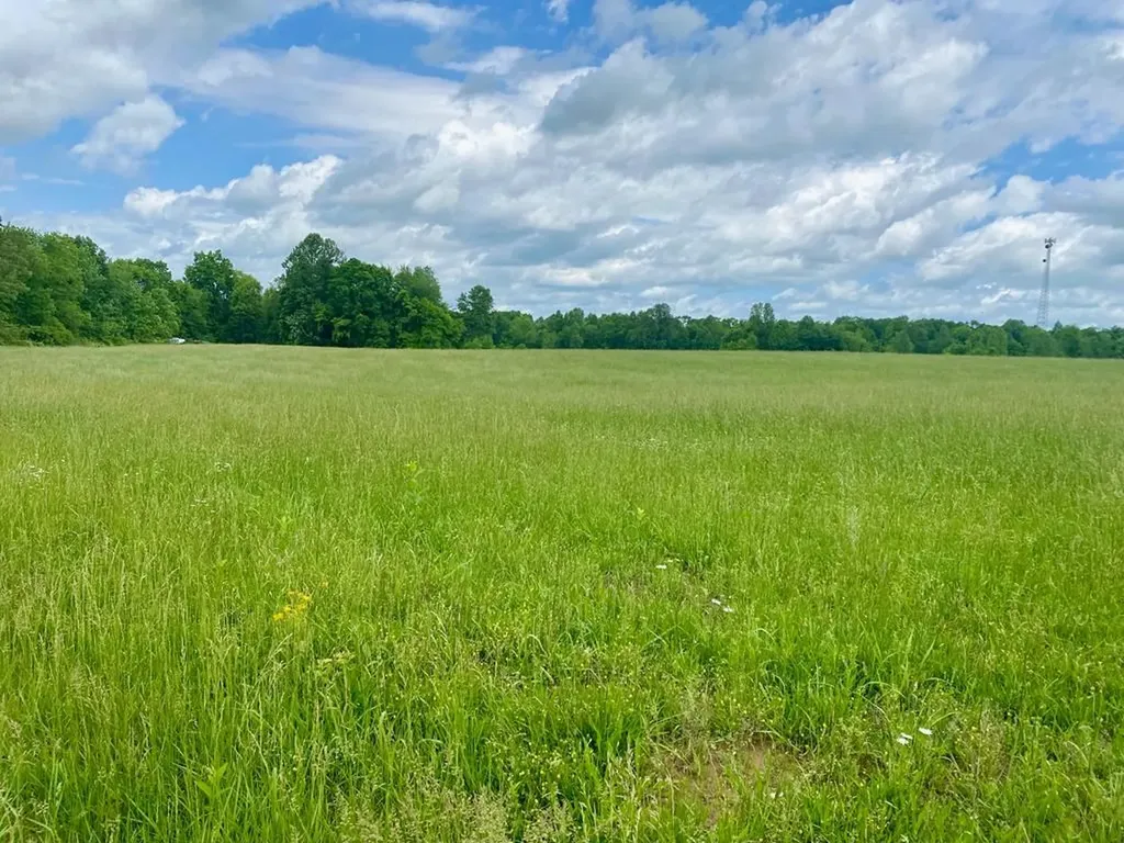 0 Old Martha Washington Road Clarkrange TN 38553