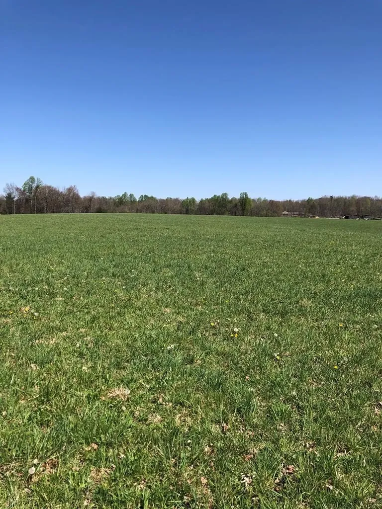 0 Old Martha Washington Road Clarkrange TN 38553