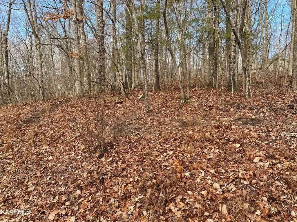 116 Overlook Cove Crossville TN 38558