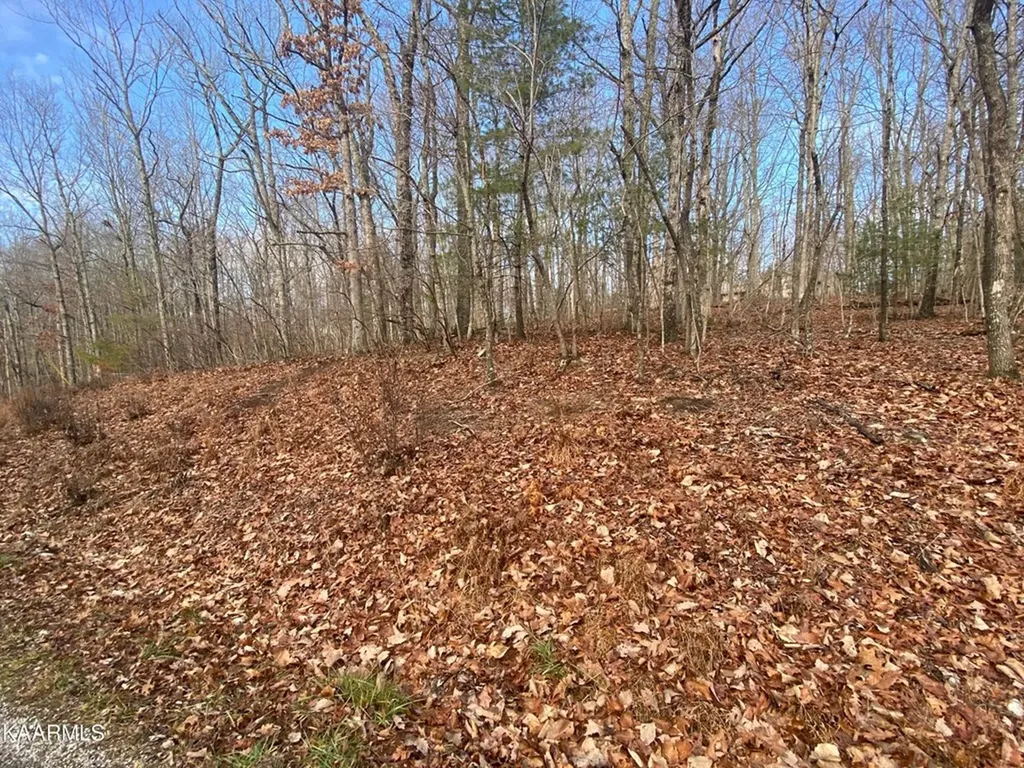 116 Overlook Cove Crossville TN 38558