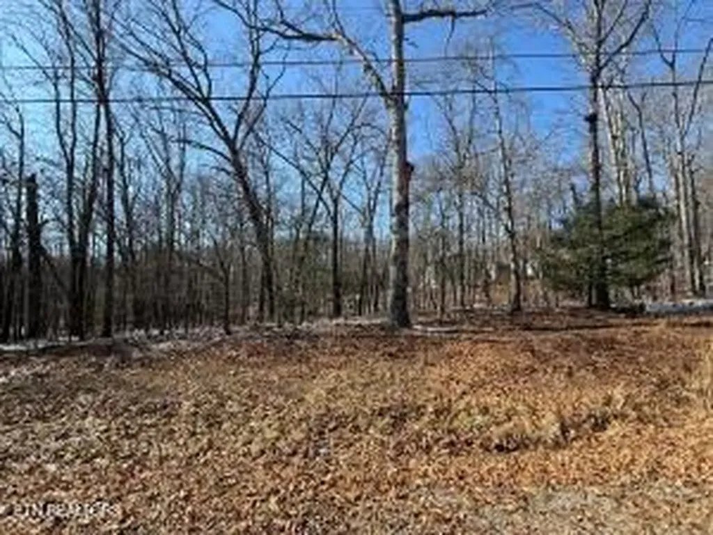 116 Kings Down Drive Crossville TN 38558